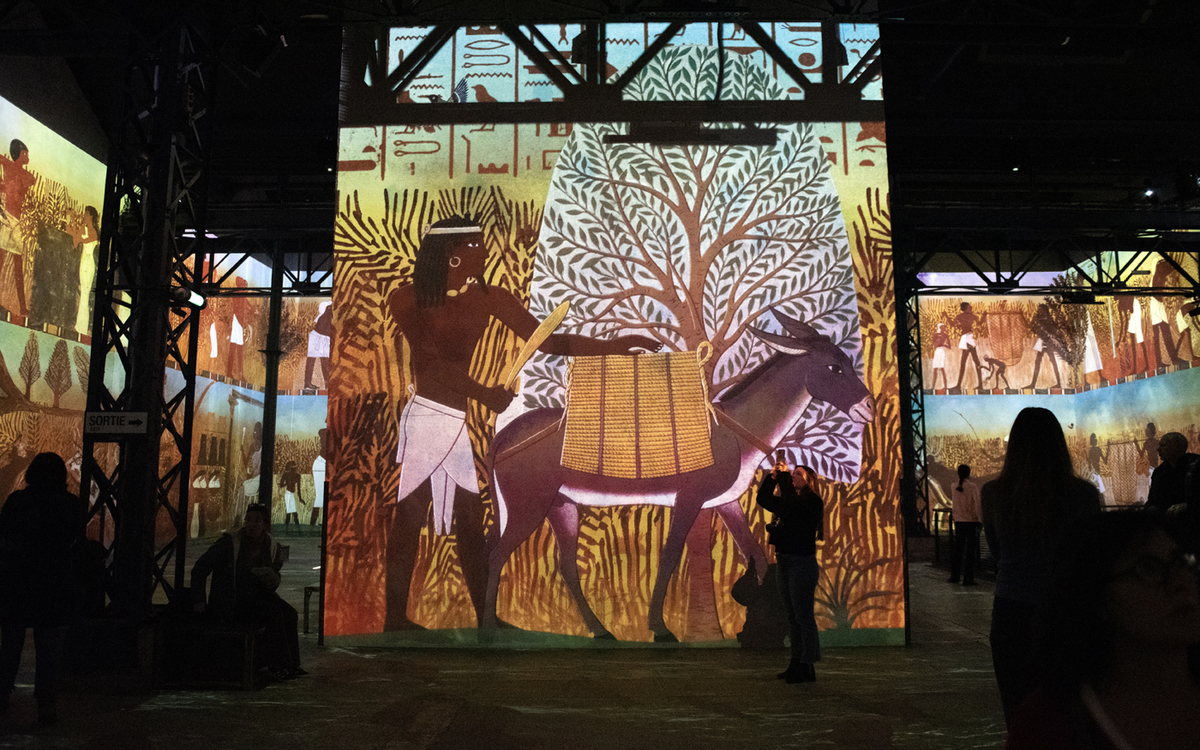 Les meilleures expos immersives à faire en famille Ville de Paris