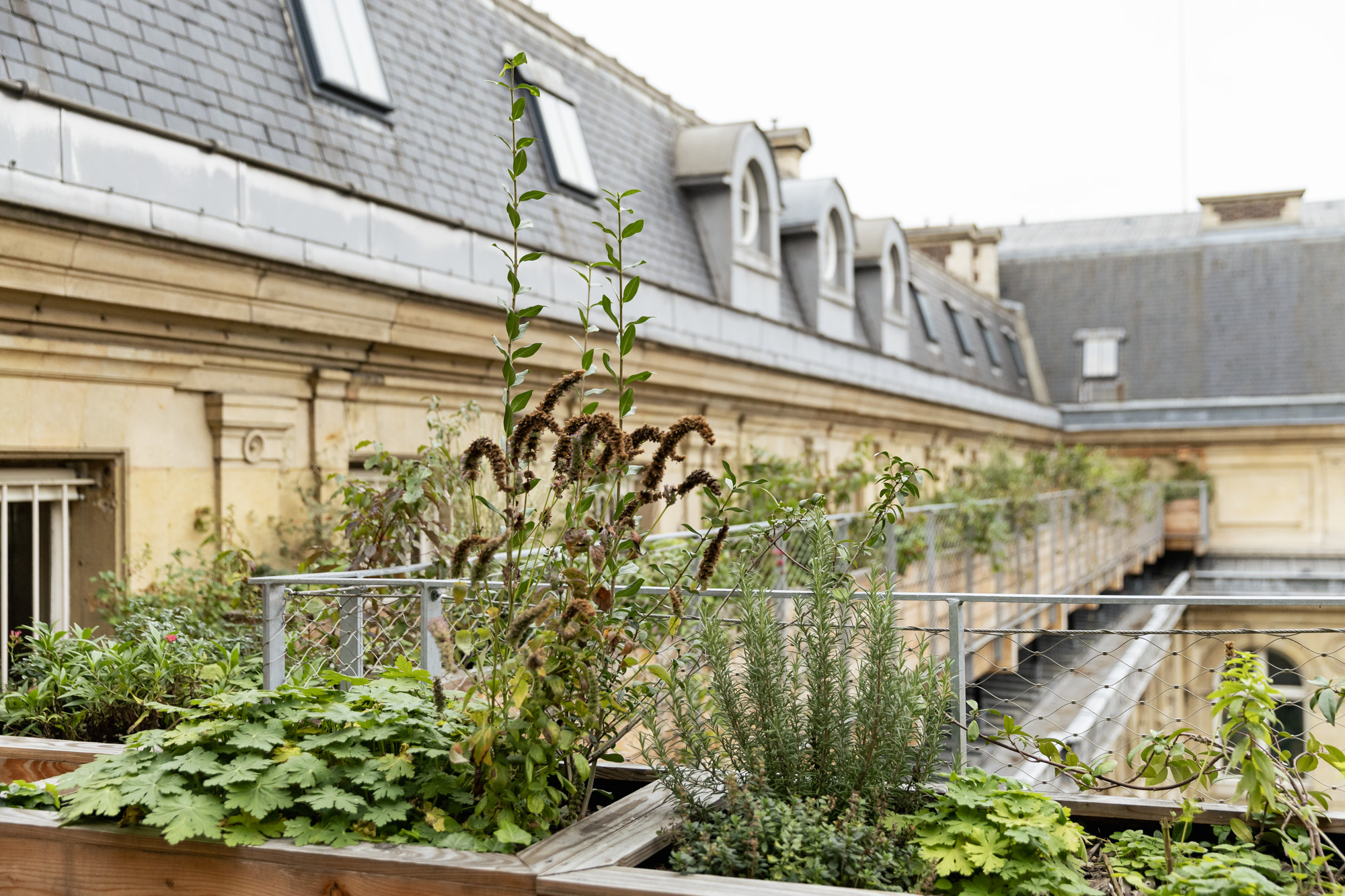 Plan Local D Urbanisme Bioclimatique Vers Un Paris Ville De Paris