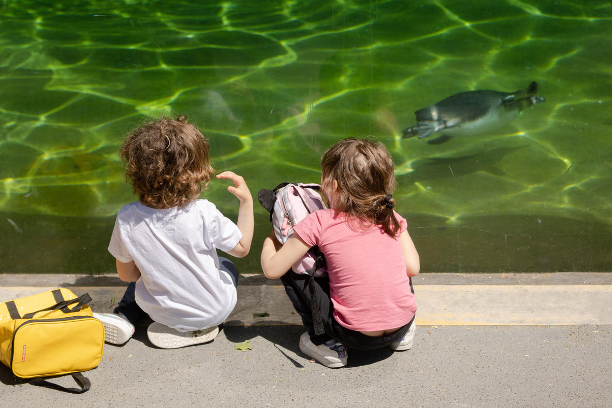 Deux enfants au parc zoologique de Paris. 