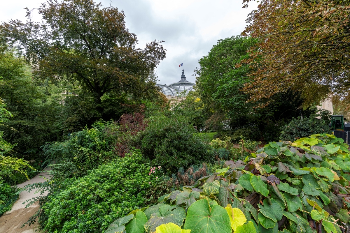Vue sur le Grand Palais à travers la végétation du jardin de la Nouvelle France