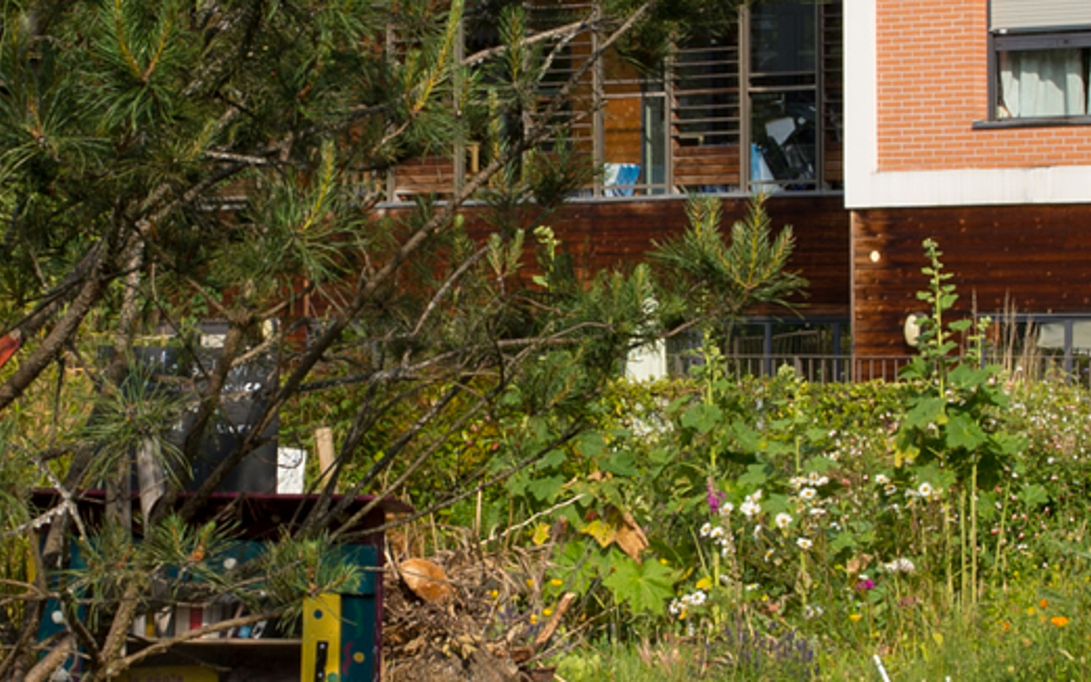 Jardin partagé Hérold