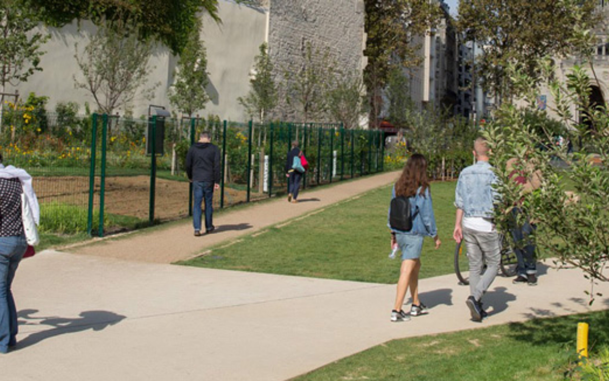 Le Jardin Truillot Un Nouvel Espace Vert Au Cœur Du