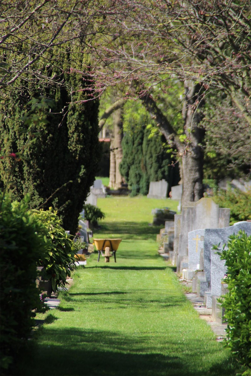 Allées engazonnées au cimetière parisien d'Ivry
