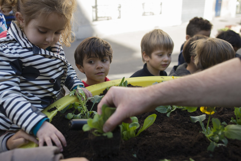 Plantation dans des jardinières sur le trottoir par les enfants des écoles avec les jardiniers de la Ville.