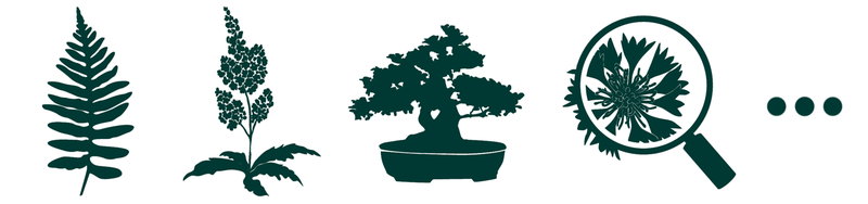 Pictogrammes collections Parc Floral