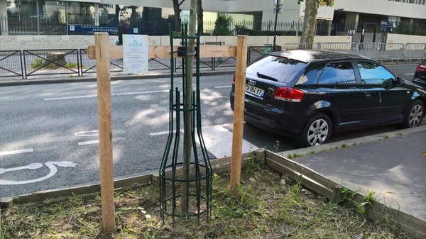 Enclos pied d'arbre 2018