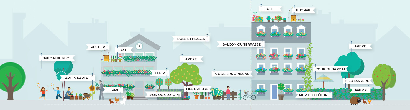 Plateforme Végétalisons Paris