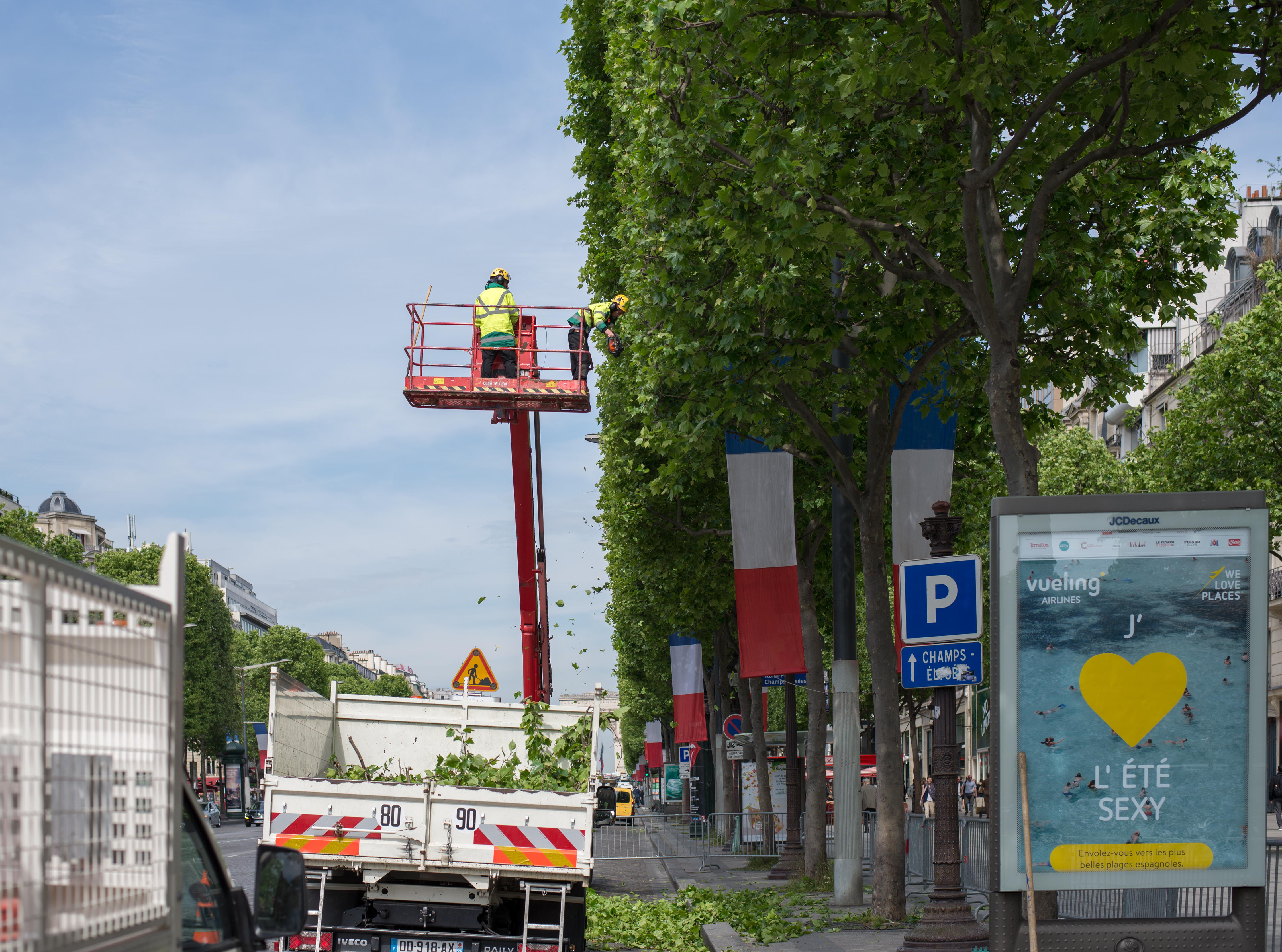 Taille d'un alignement de platanes en rideau