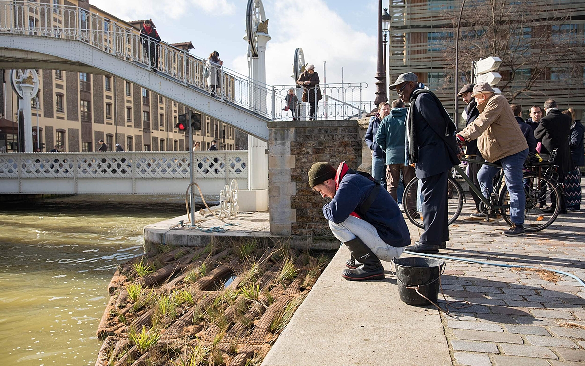 Installation d'un radeau végétalisé quai de l'Oise
