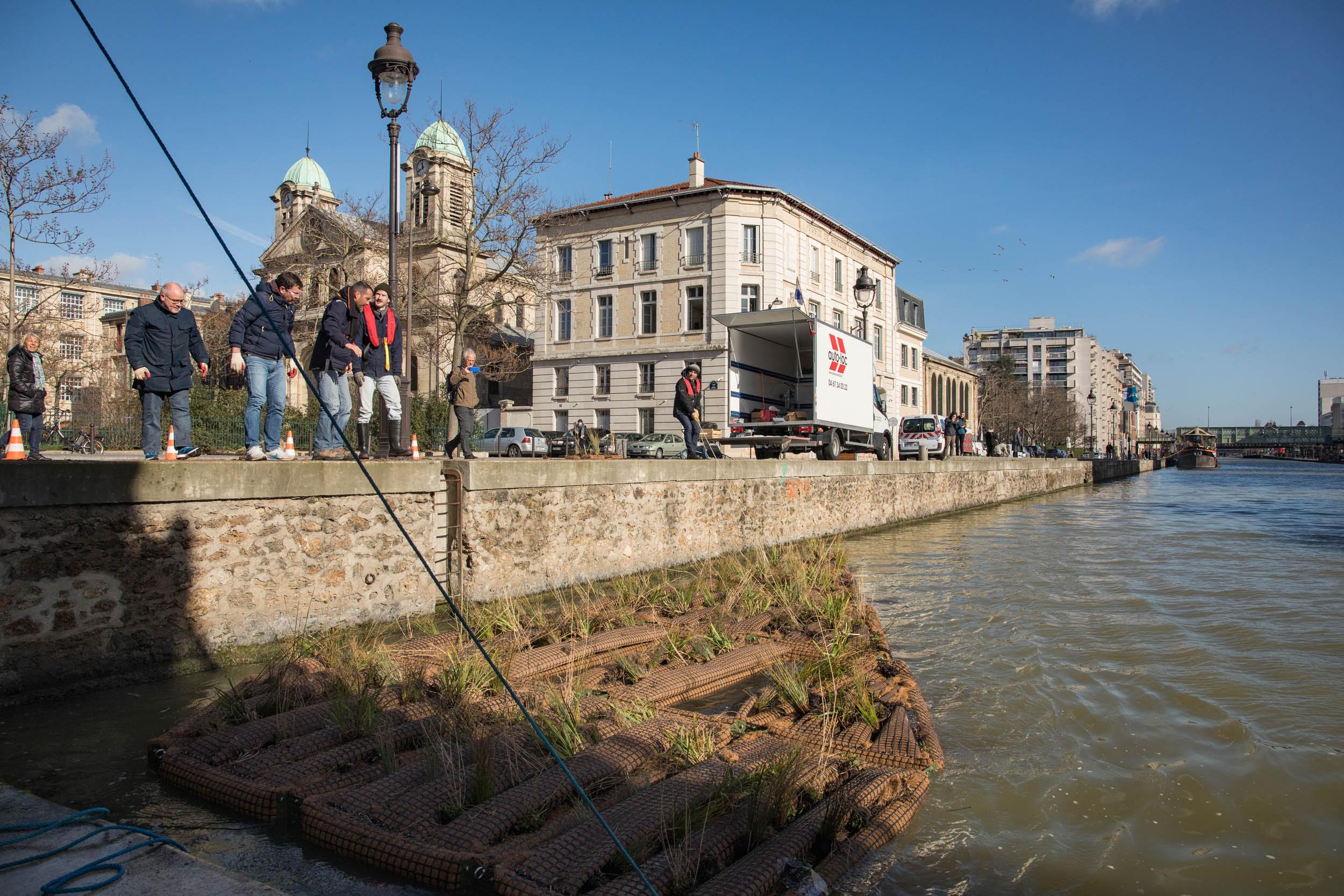 Installation d'un radeau végétalisé quai de l'Oise