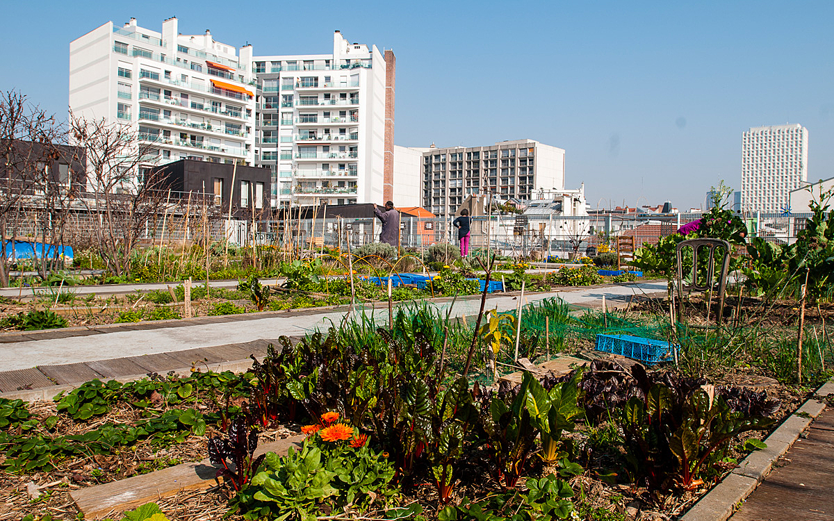 Ferme urbaine : lorsque l'agriculture en ville crée du lien social 