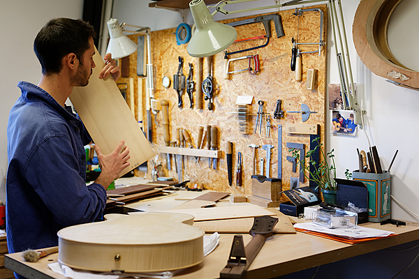 Sélection du bois d'épicéa pour un futur instrument.