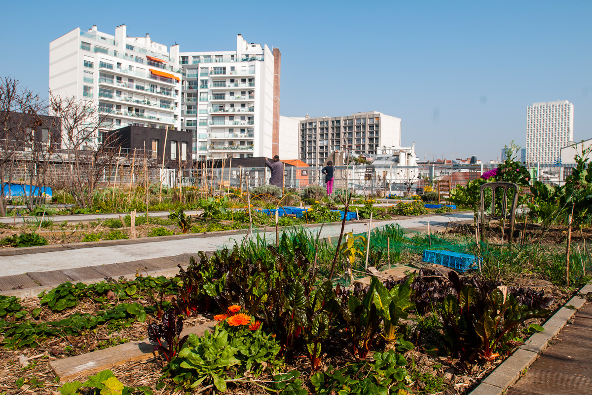 Agriculture urbaine - Le jardin sur le toit, Gymnase des Vignolles