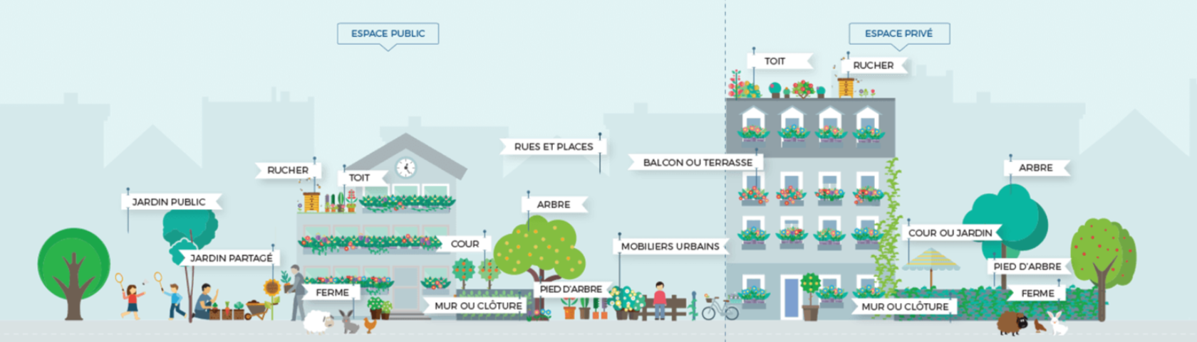 Frise montrant les différents types de projets de végétalisation sur l'espace public et l'espace privé.
