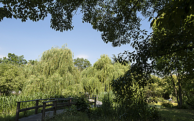 Arboretum du bois de Vincennes