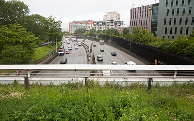 Verdure sur le phériphérique