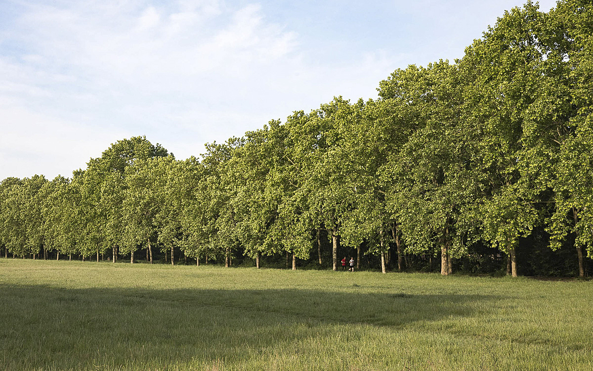 Le bois de Vincennes