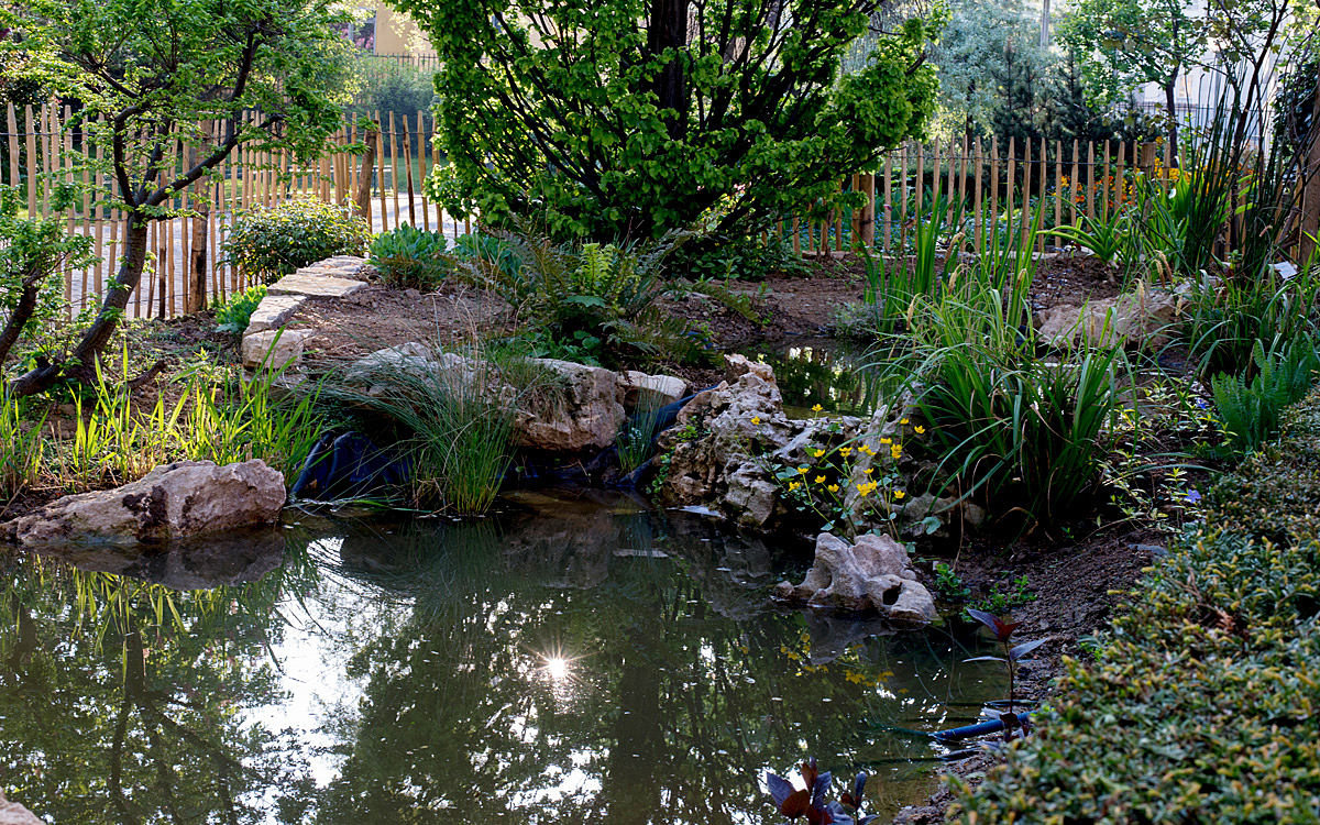 Mare écologique au jardin Villemin (10e)