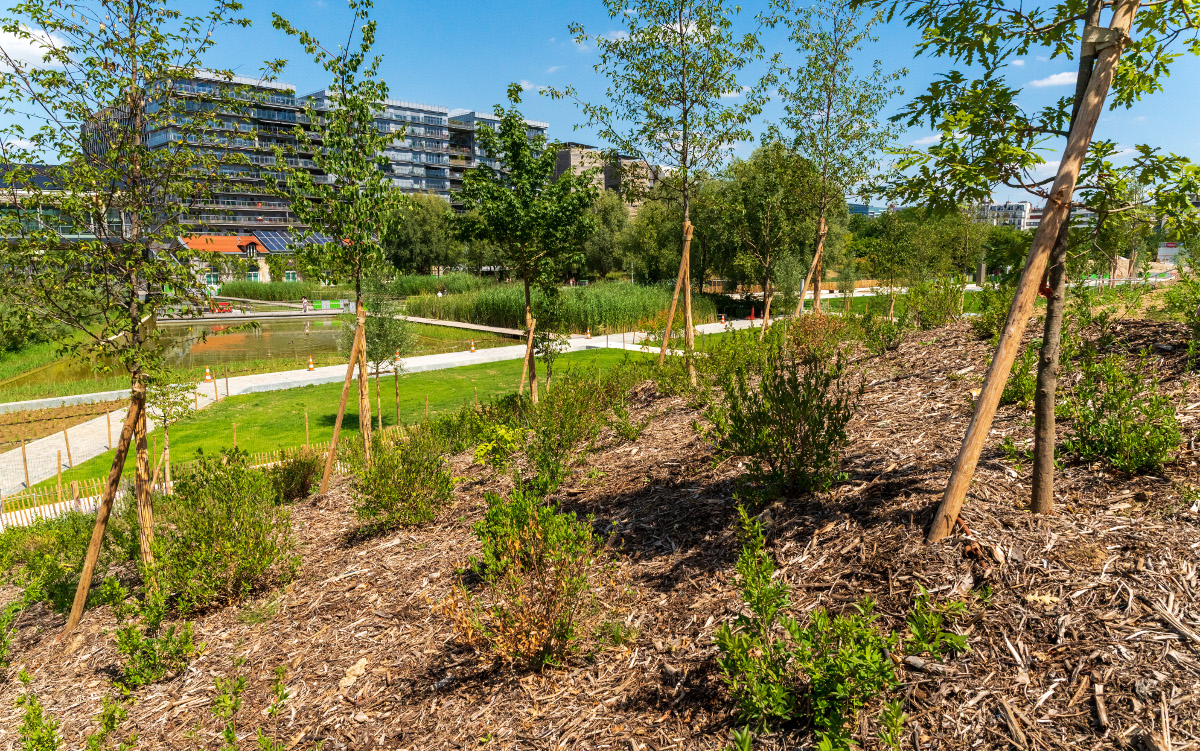 Huit Nouveaux Hectares D espaces Verts D couvrir Ville De Paris Huit Nouveaux Hectares D espaces Verts D couvrir Ville De Paris