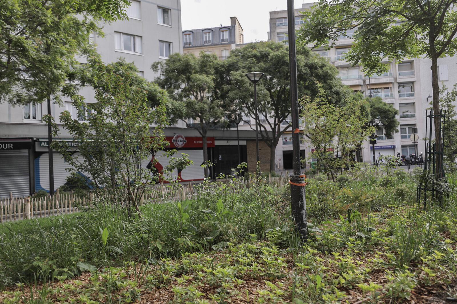 6 Place Maurice De Fontenay 75012 Paris Réaménagement de la place Maurice de Fontenay : c'est - Mairie du 12?
