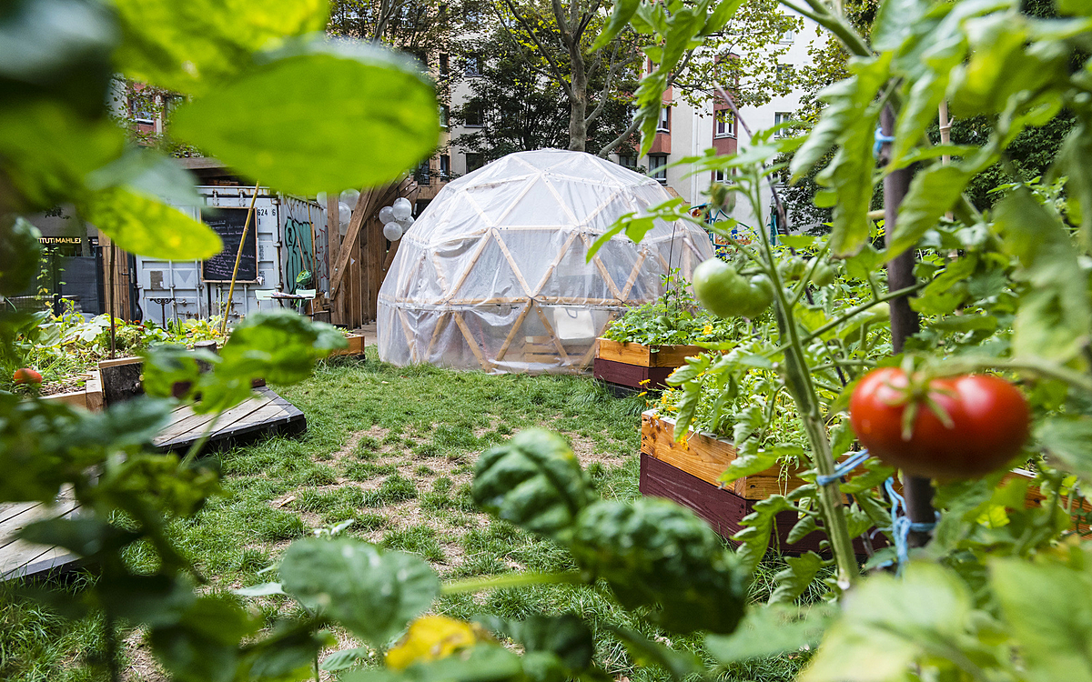 Co-jardinage: un site pour partager un bout de jardin