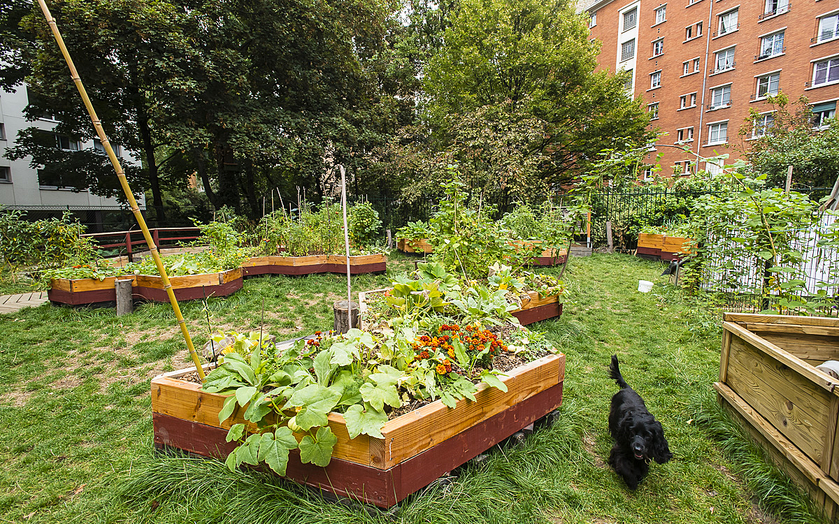 Le jardin  Louis Blanc un nouvel espace vert partag  