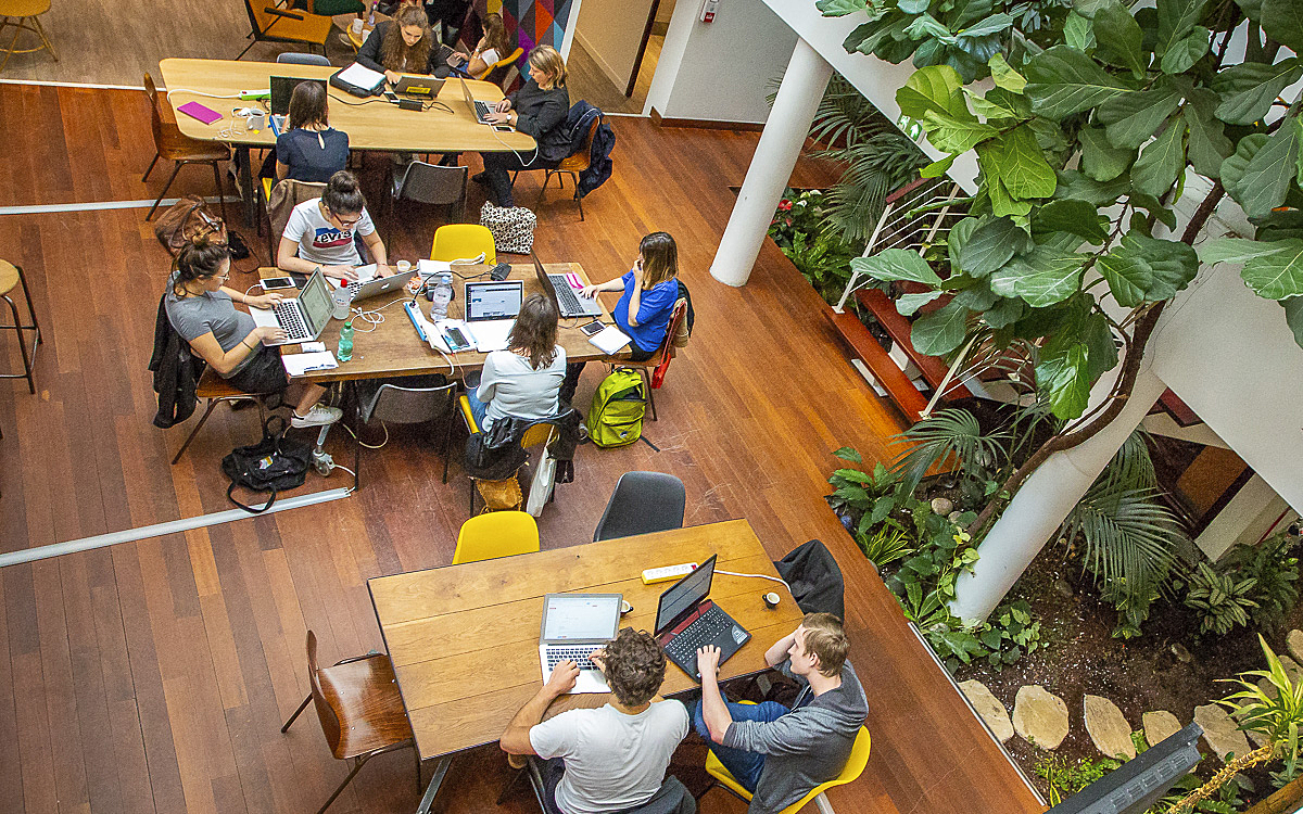 Espace de coworking chez Team Willa