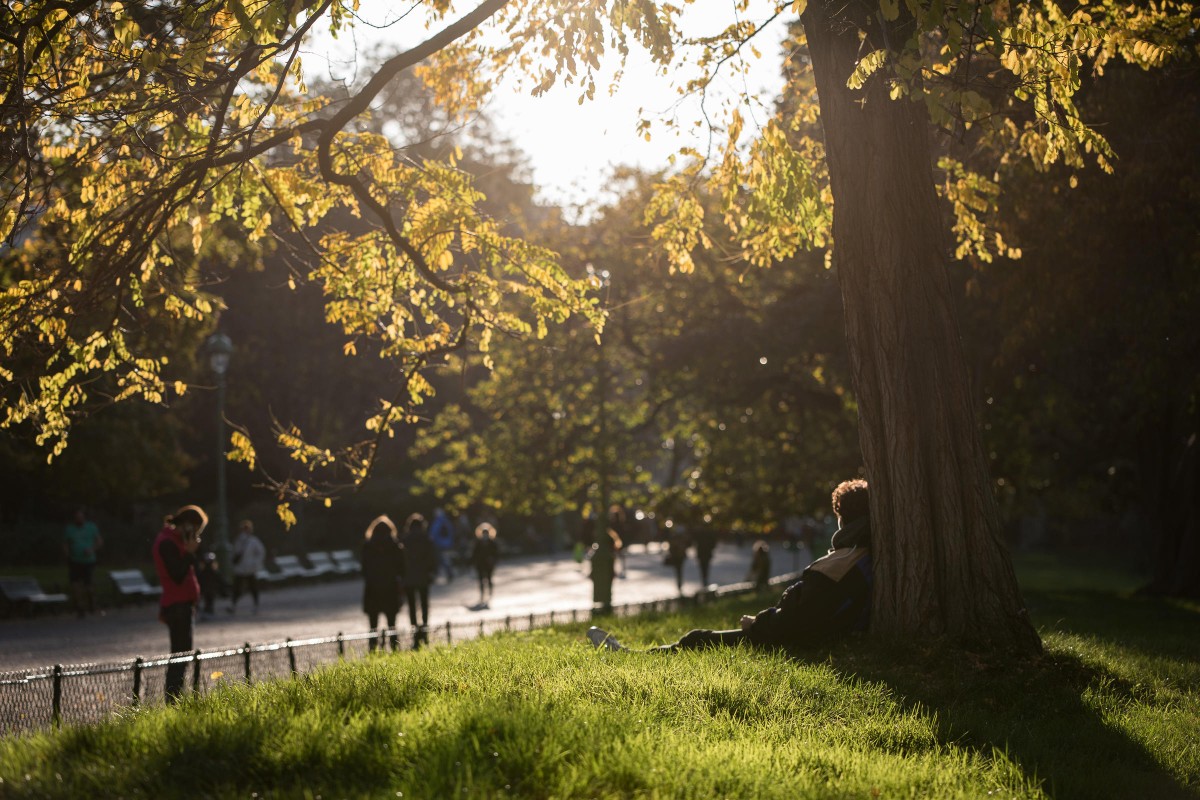 Promeneurs dans le parc Monceau pendant la pandémie de covid-19