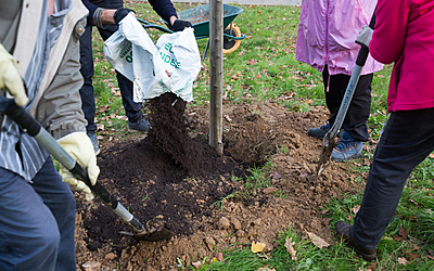 Plantation d' un arbre dans le jardin Emmanuel Fleury par les habitants du quartier avec l' aide de l' association " Vergers Urbains" 