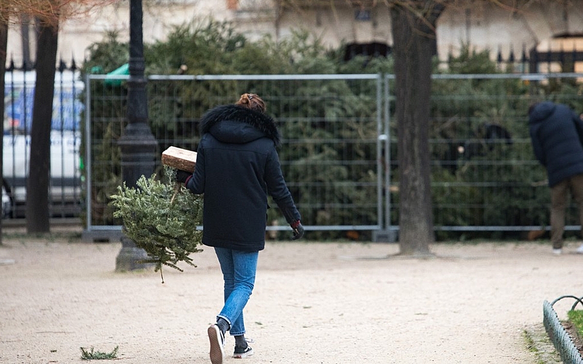 Le Sac à Sapin a 30 ans - Affiches Parisiennes