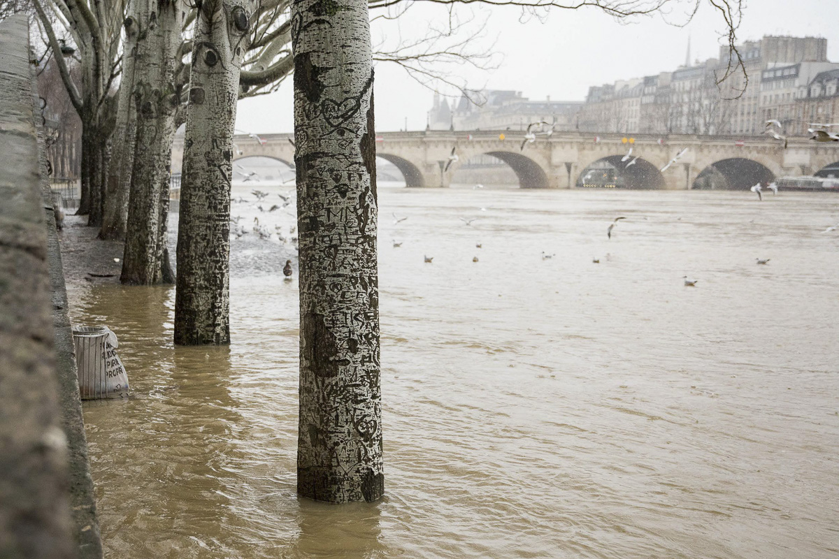 Crue de la Seine le 24 janvier 