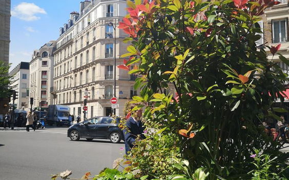 verdure patrimoine