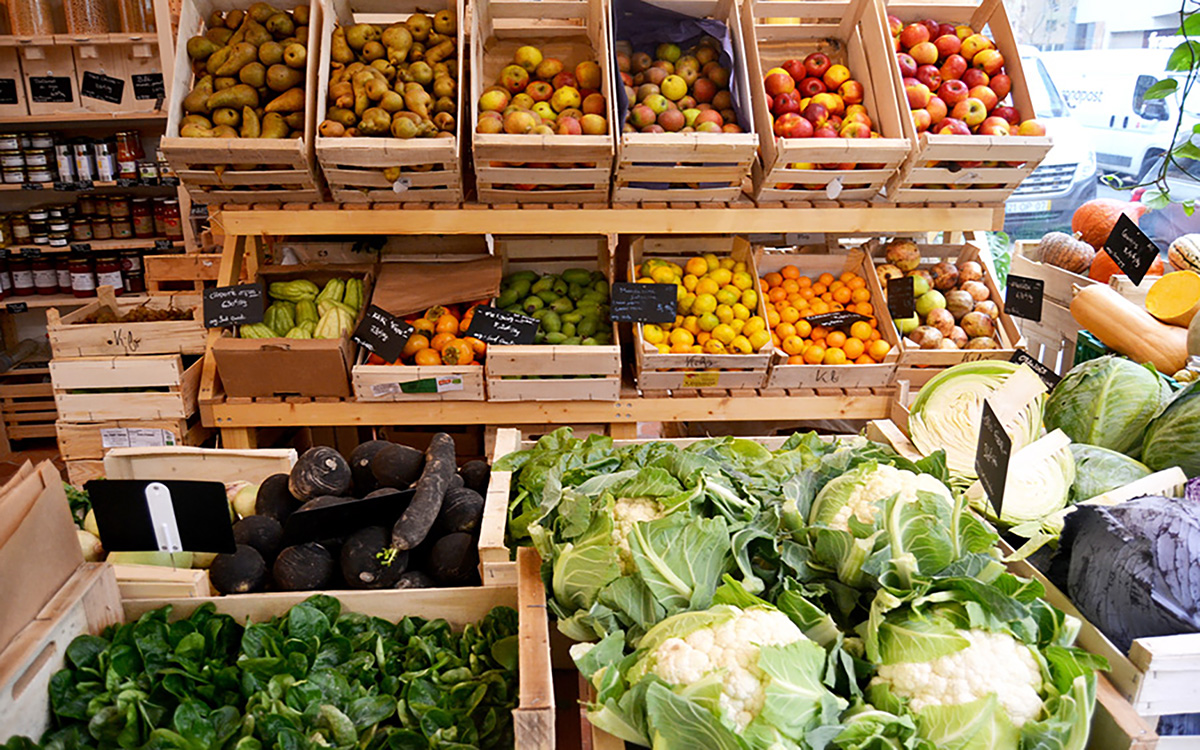 Cagettes de légumes bio et locaux