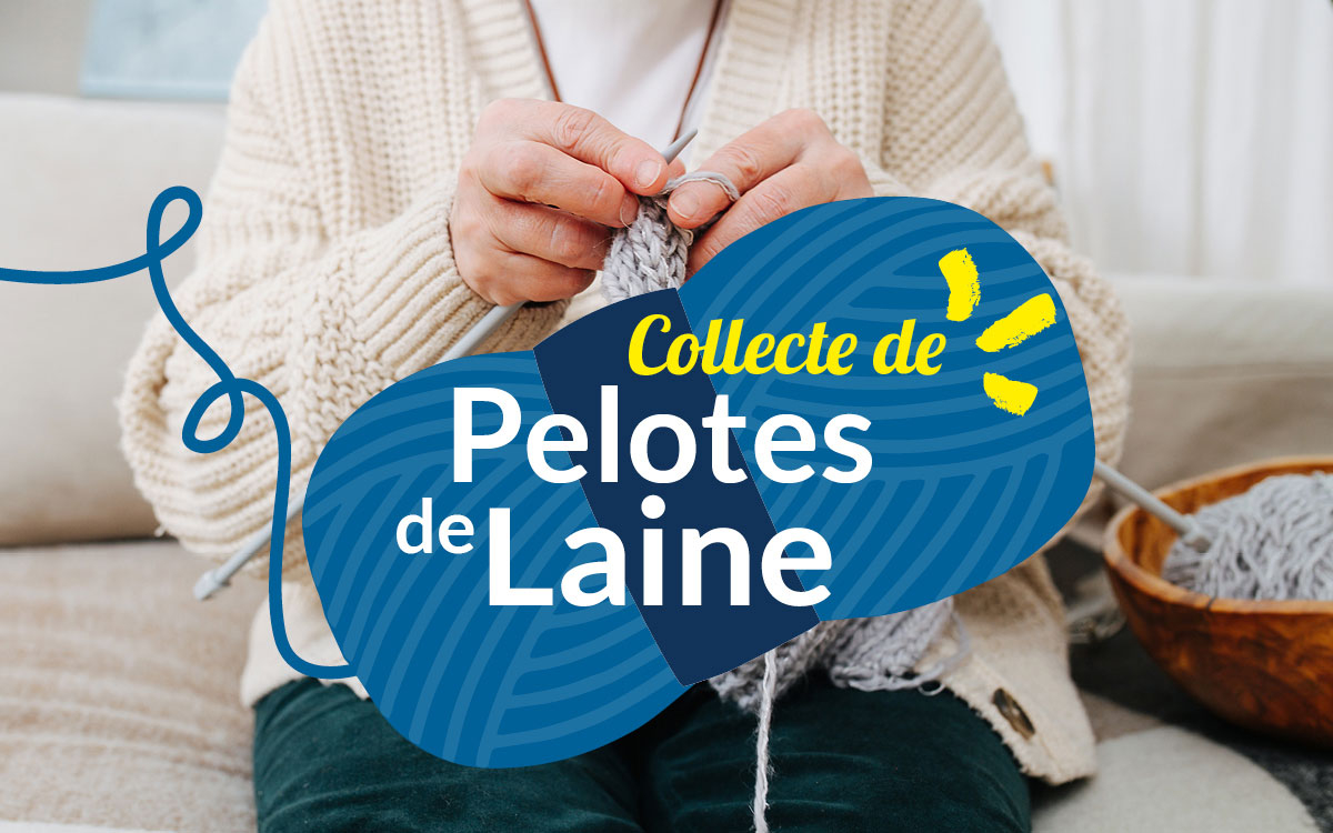 collecte pelotes laine