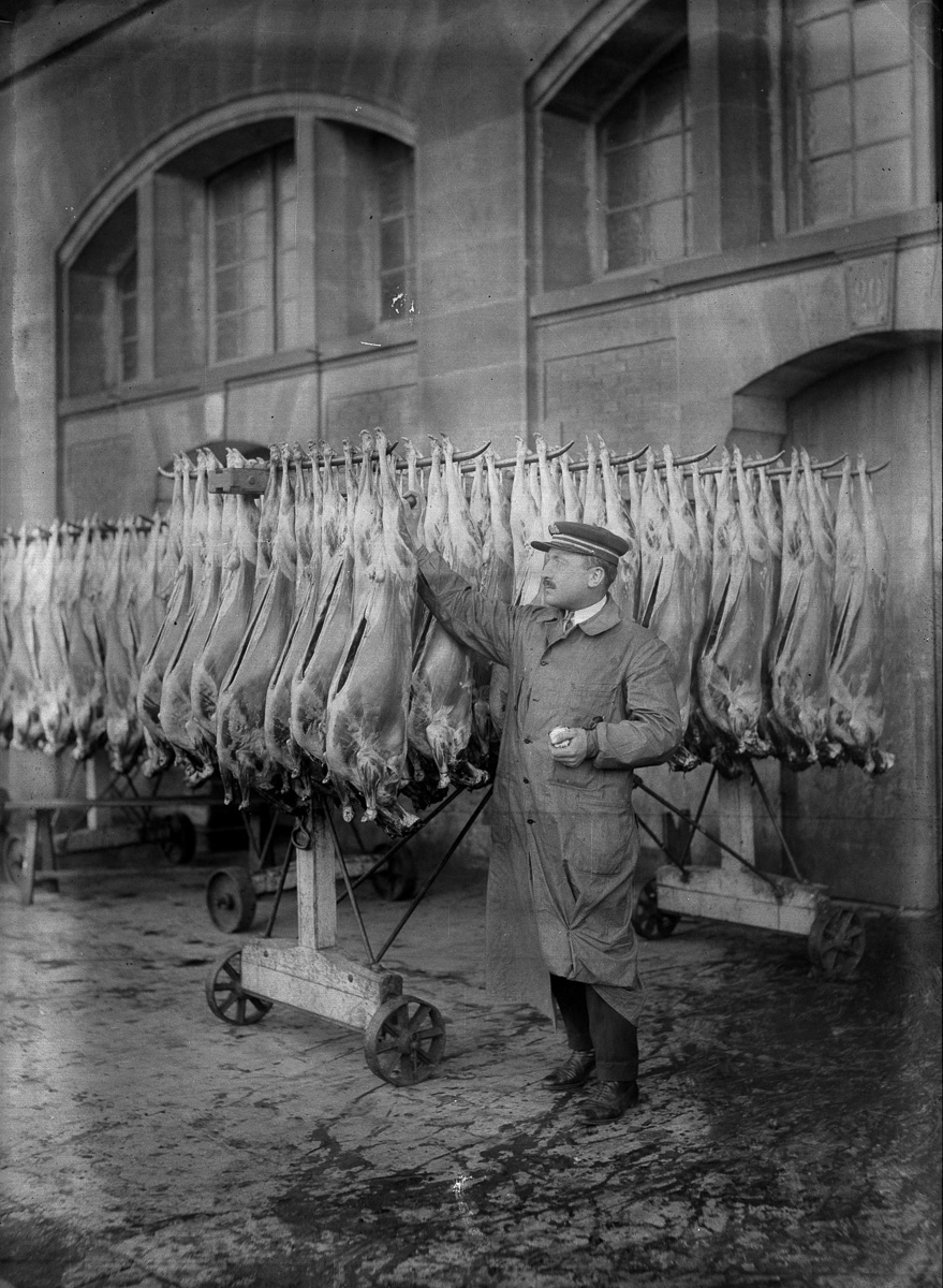 Le contrôle des moutons et la pose du cachet sanitaire à la sortie des anciens abattoirs de La Villette détruits en 1959. Paris (XIXème arr.), vers 1920.