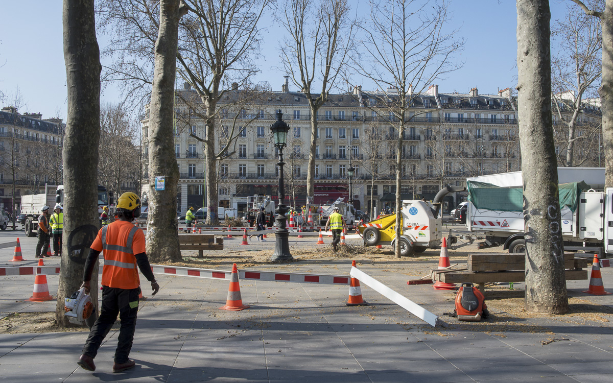 Le recrutement des arboristes - élagueurs - Ville de Paris