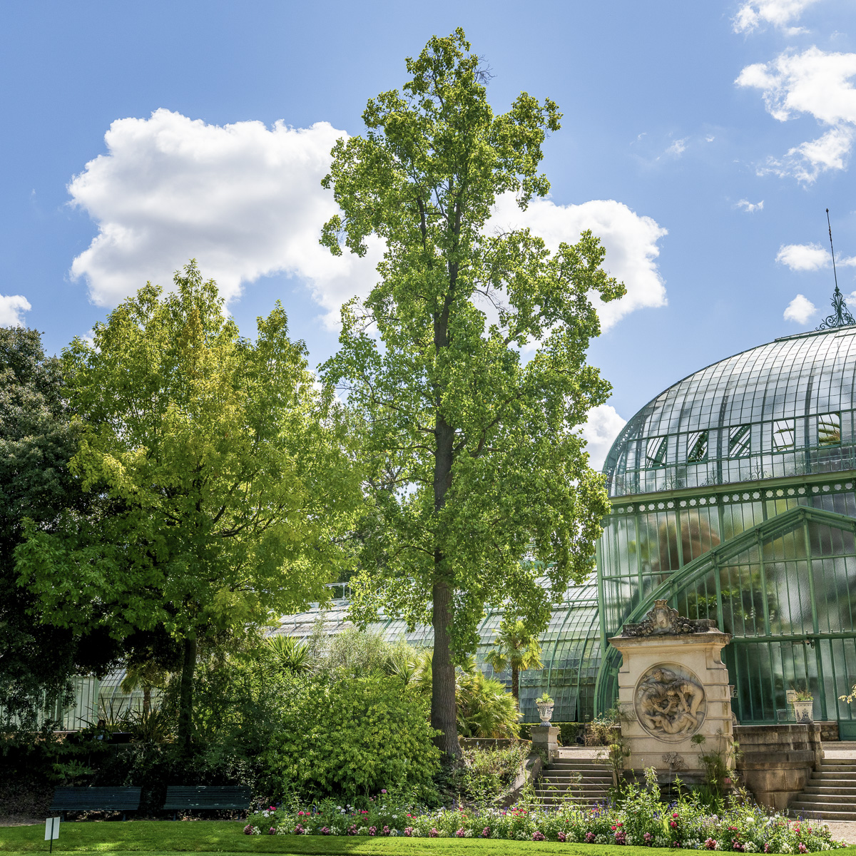 Serre de jardin : votre nouvel allié pour jardiner - Le Parisien
