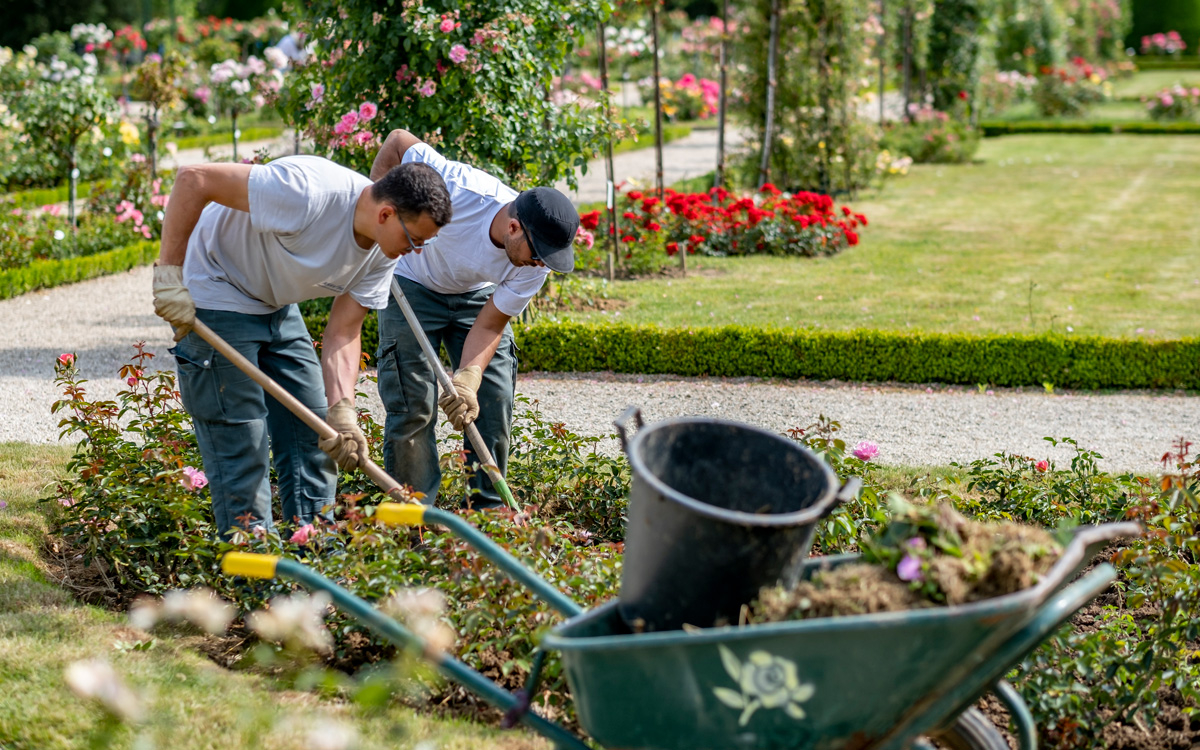 La Ville de Paris recrute des jardiniers (F/H) - Ville de Paris