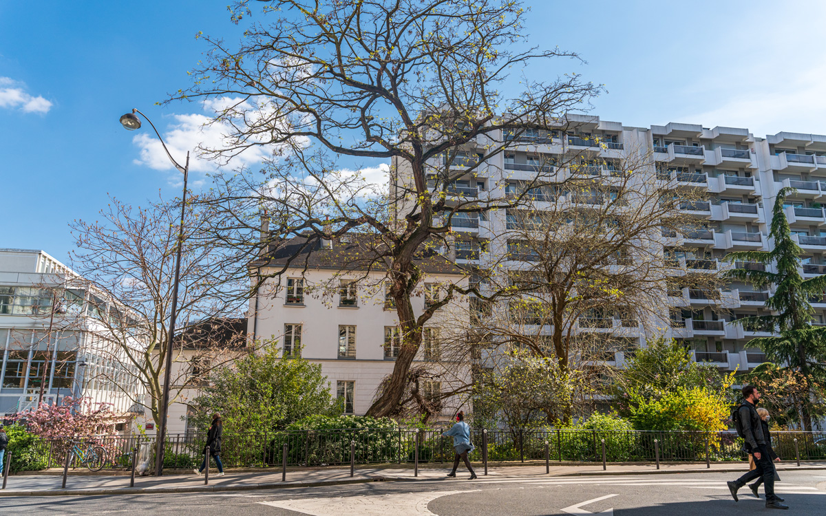 La rue Censier dans le 5e arr.