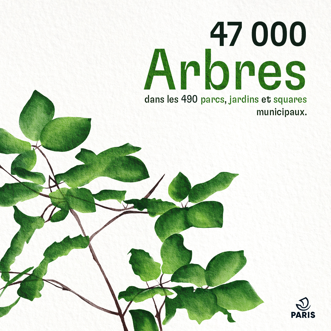 Visuel Les arbres à Paris 3