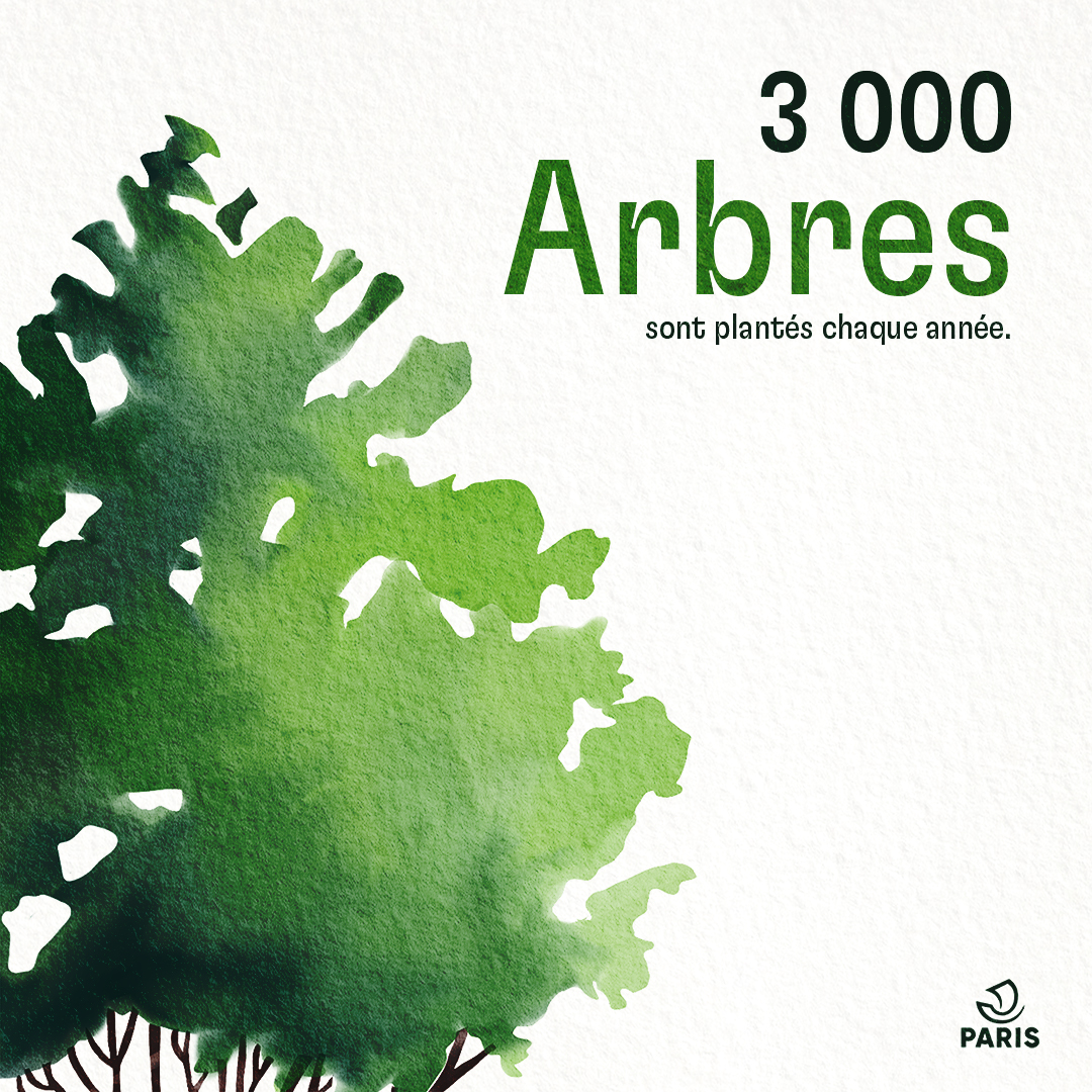 Visuel Les arbres à Paris 1