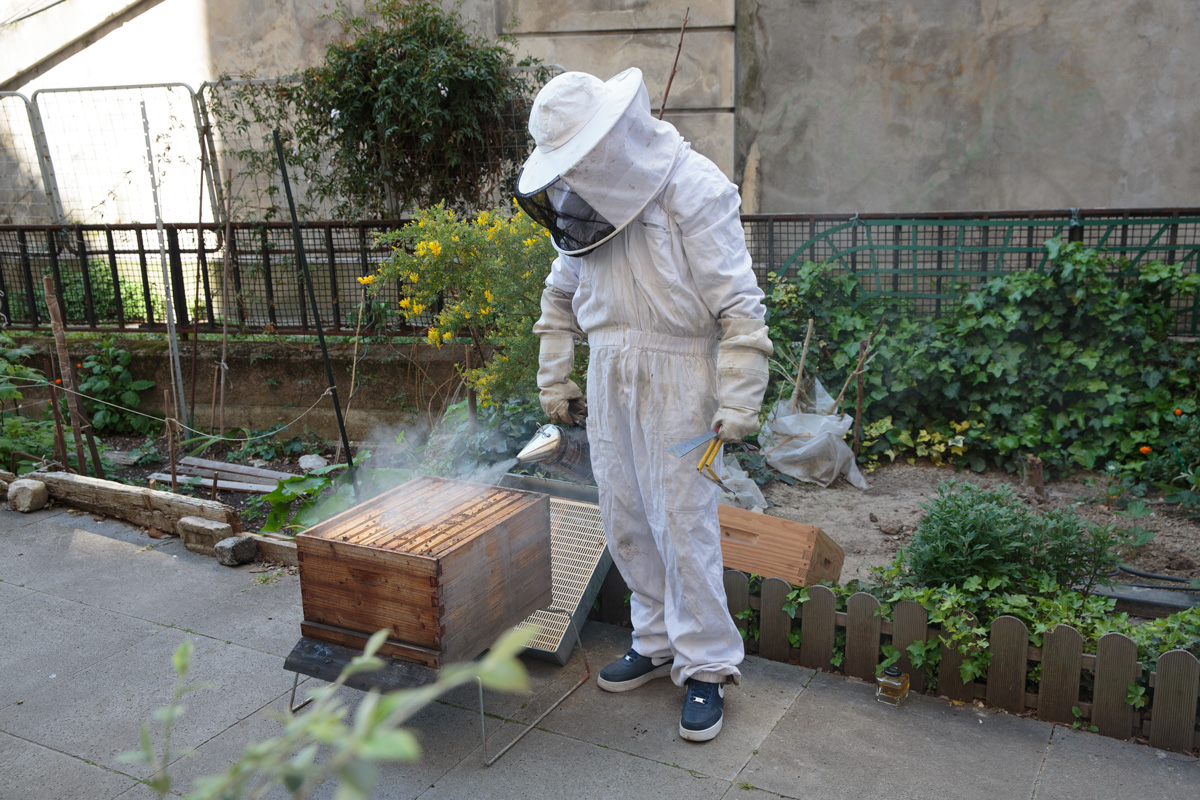 Peut-on installer une ruche dans son jardin ? On vous répond