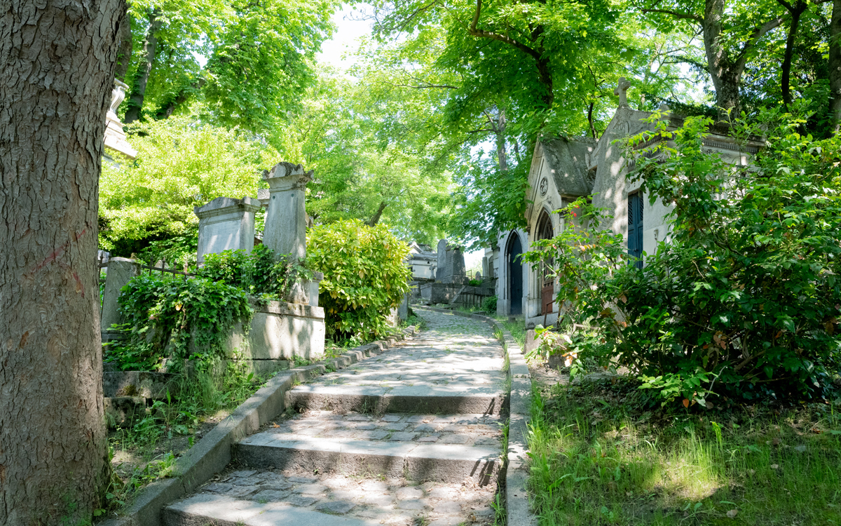 Des chapelles cachées derrière un écran luxuriant de verdure