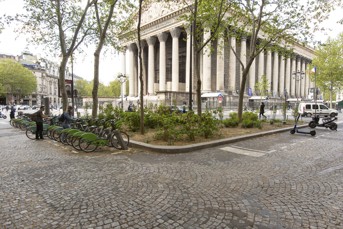 Végétalisation autour de l'église de la Madeleine.