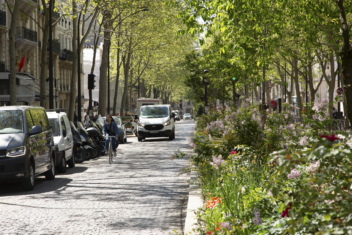 Jardinière au centre de l'avenue Trudaine 9e.