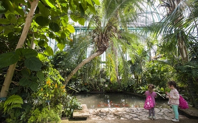 Deux petites filles aux Serres d'Auteuil.