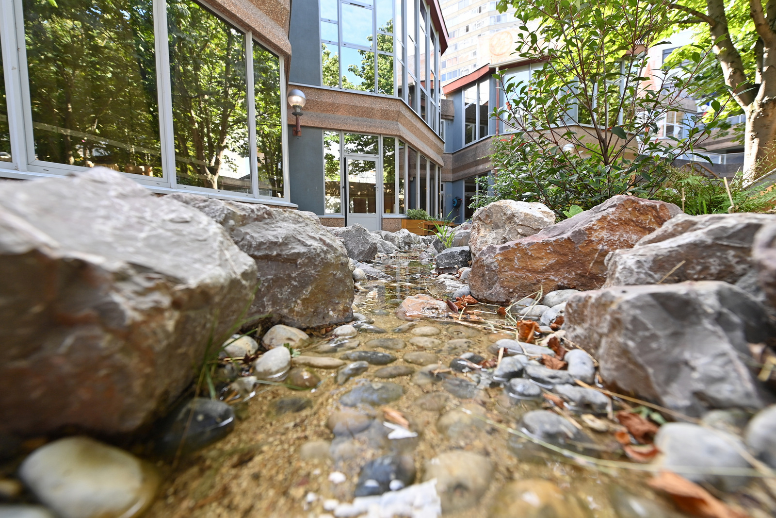 Cour Oasis maternelle Emeriau 15e