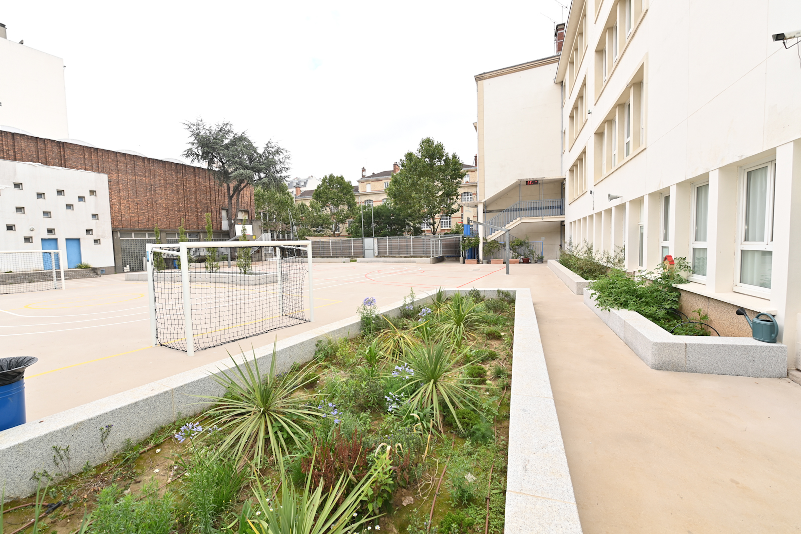 Cour Oasis collège Gérard Philippe 18e