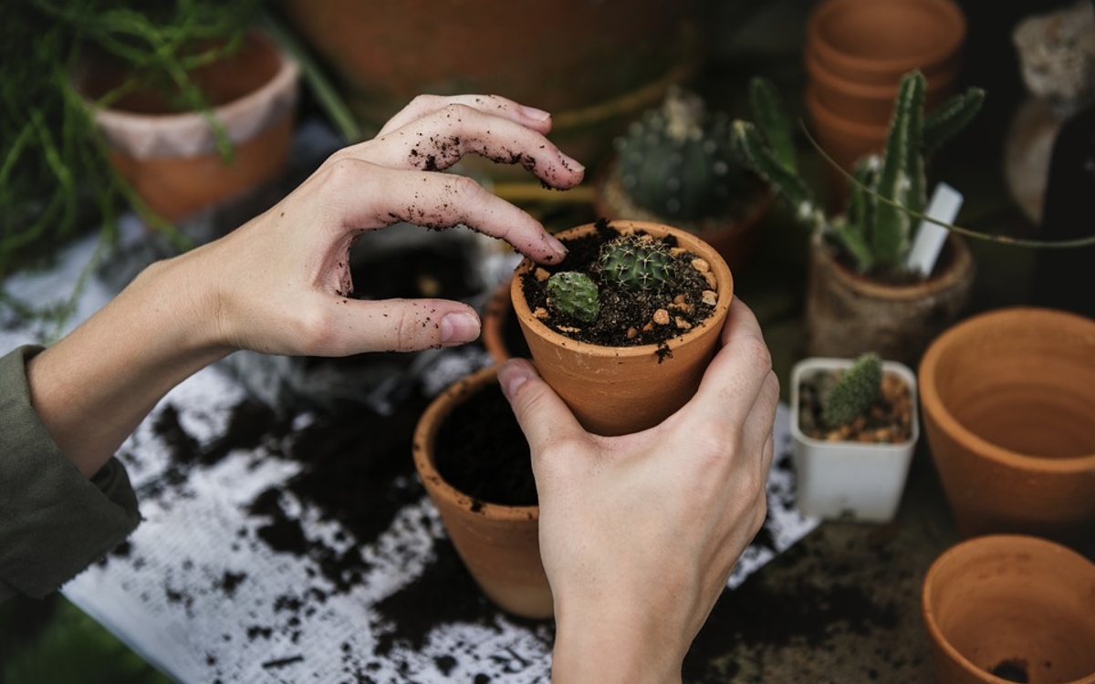 BRICOLAGE - JARDINAGE