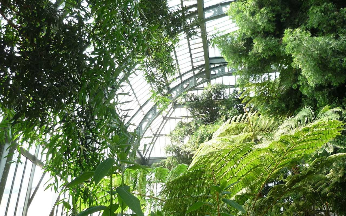 Serre Jardin des Plantes de Paris